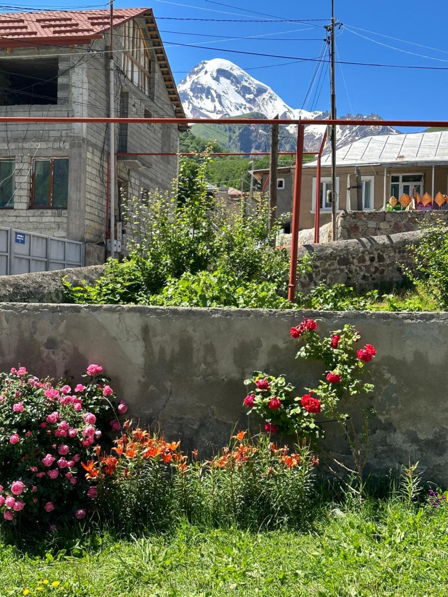 Hotel Polaris Kazbegi Zewnętrze zdjęcie